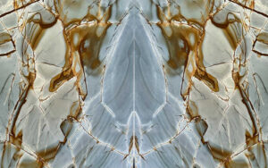 Interieurarchitect Berkel-Enschot